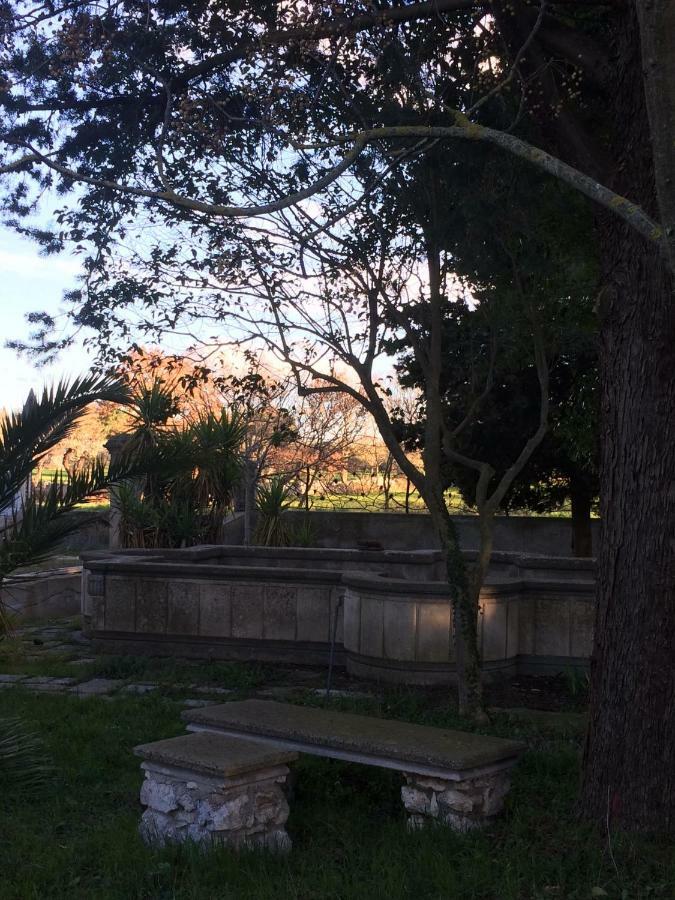Villa L'Ottagono Con Cucina Parcheggio Privato Telecamerizzato E Wifi Gioia Del Colle Exterior photo