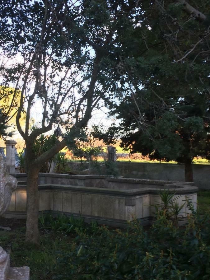 Villa L'Ottagono Con Cucina Parcheggio Privato Telecamerizzato E Wifi Gioia Del Colle Exterior photo